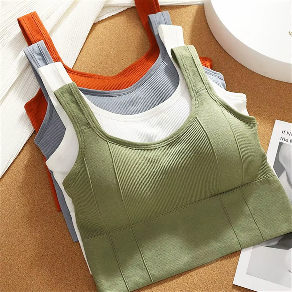 Ivy Sculpt Sports Bra
