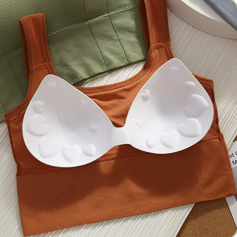 Ivy Sculpt Sports Bra