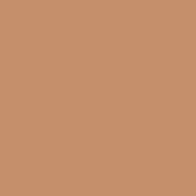 KAILINYA | Colour-Adapting Foundation Stick