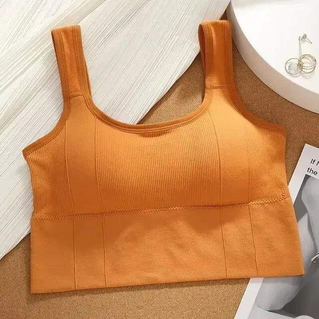 Ivy Sculpt Sports Bra